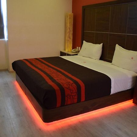 Plutarco Suites Mexico City Ngoại thất bức ảnh